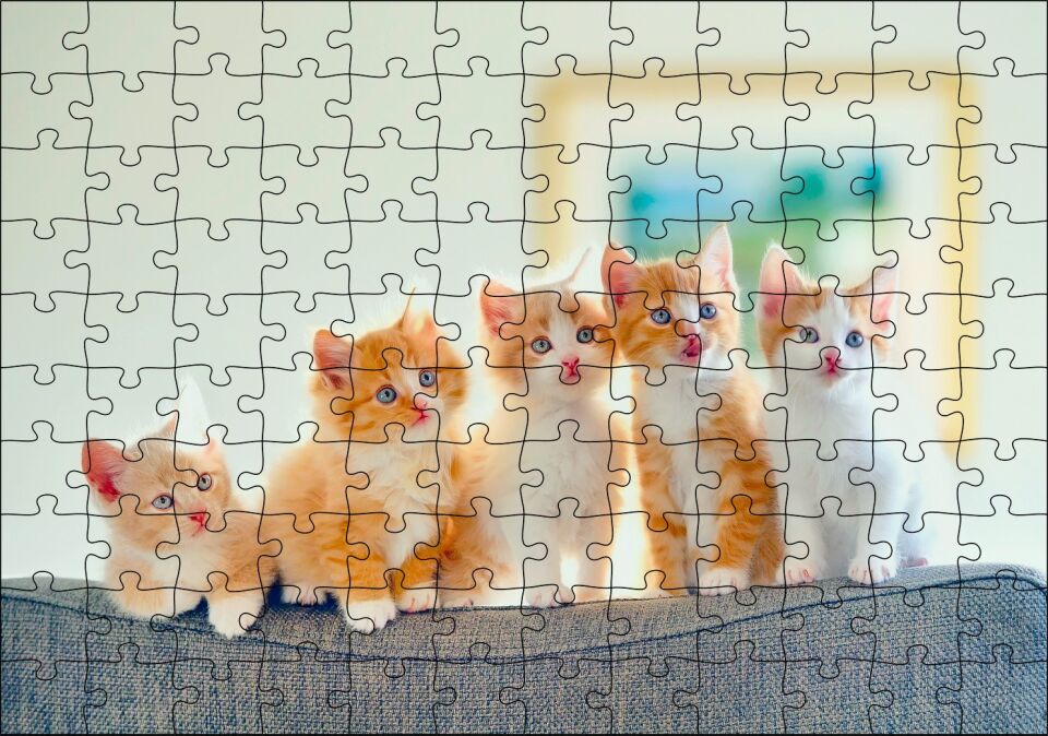 Koltukta Yanyana Sarı Beyaz Renkli 5 Kedi Puzzle Yapboz MDF Ahşap