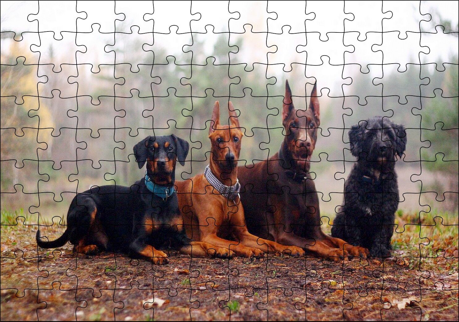 Sonbahar Yaprakları Üzerindeki 4 Köpek Puzzle Yapboz MDF Ahşap 120 Parça 24 cm X 34 cm