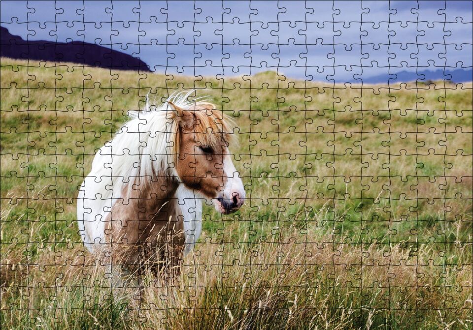 Beyaz Yeleli Midilli Puzzle Yapboz MDF Ahşap 255 Parça 34 cm X 49 cm