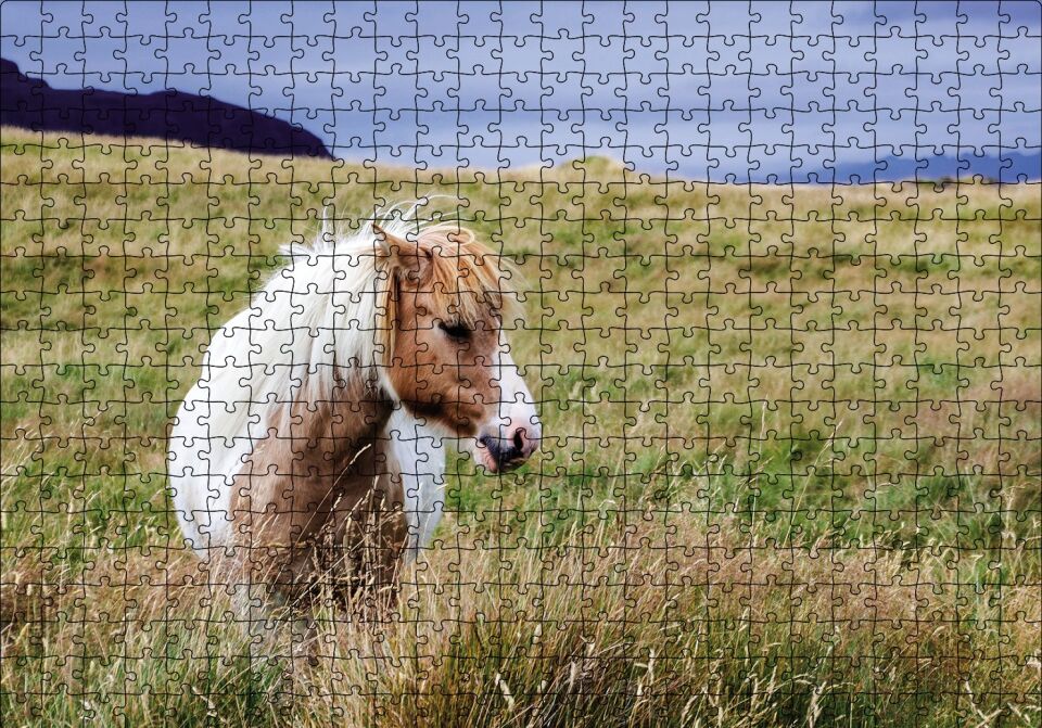 Beyaz Yeleli Midilli Puzzle Yapboz MDF Ahşap 500 Parça 49 cm X 68 cm