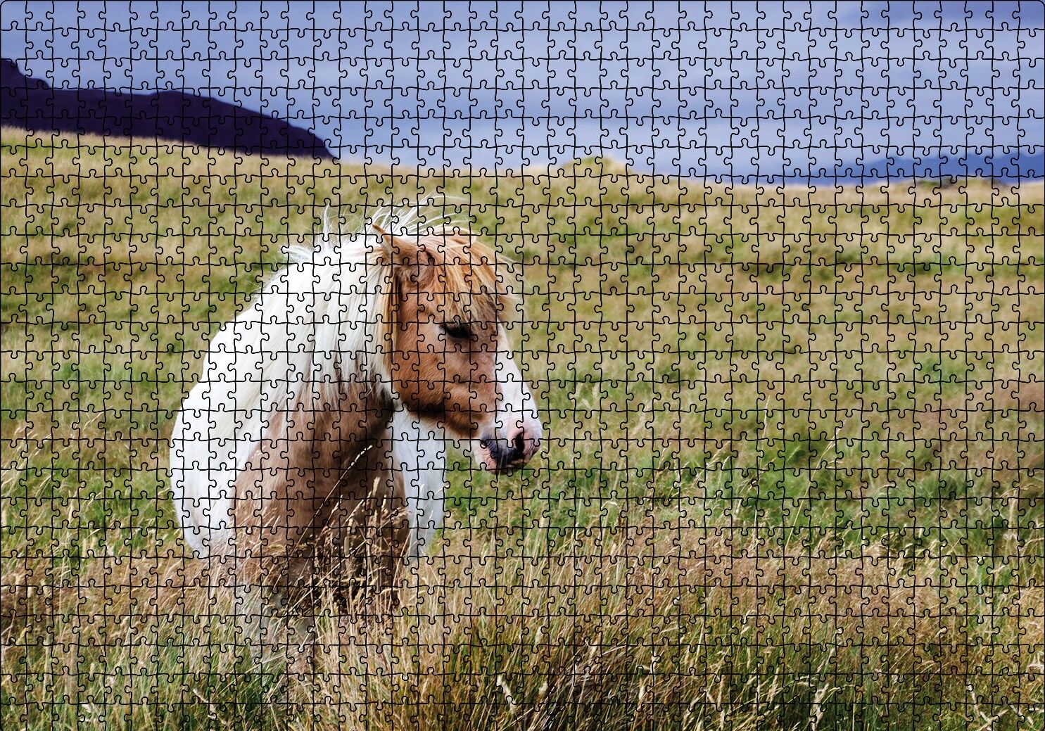 Beyaz Yeleli Midilli Puzzle Yapboz MDF Ahşap 1000 Parça 49 cm X 68 cm