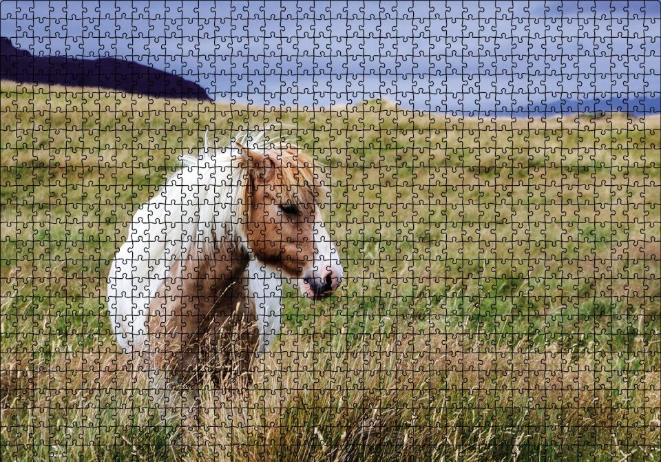 Beyaz Yeleli Midilli Puzzle Yapboz MDF Ahşap 1000 Parça 49 cm X 68 cm