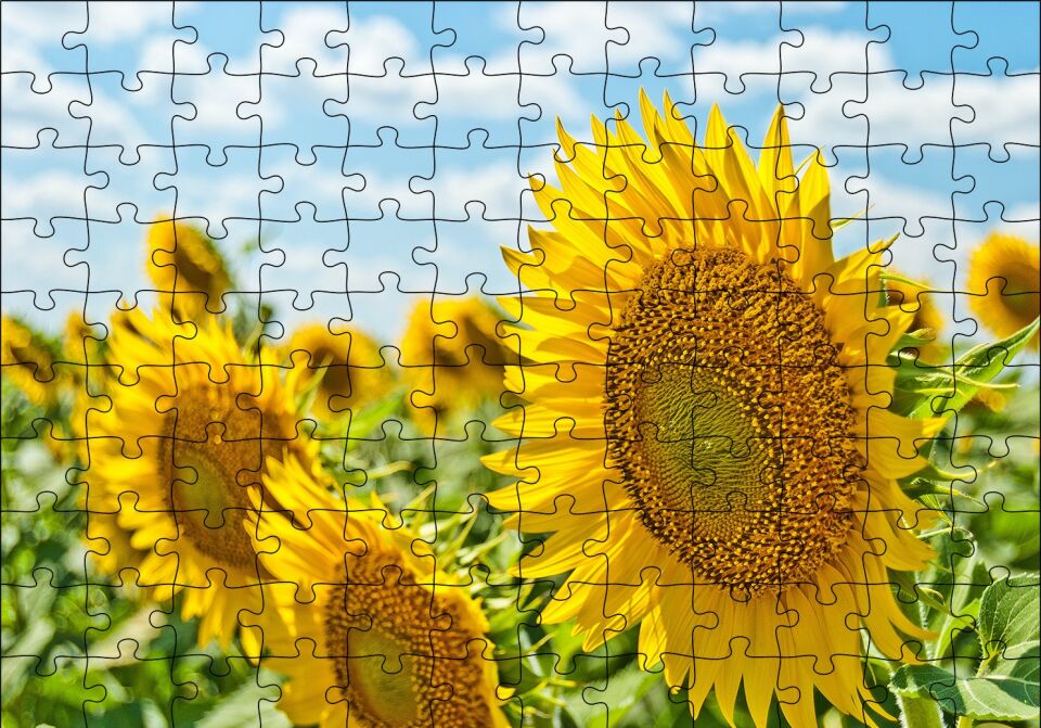 Günebakan Çiçekleri Puzzle Yapboz MDF Ahşap 120 Parça 24 cm X 34 cm
