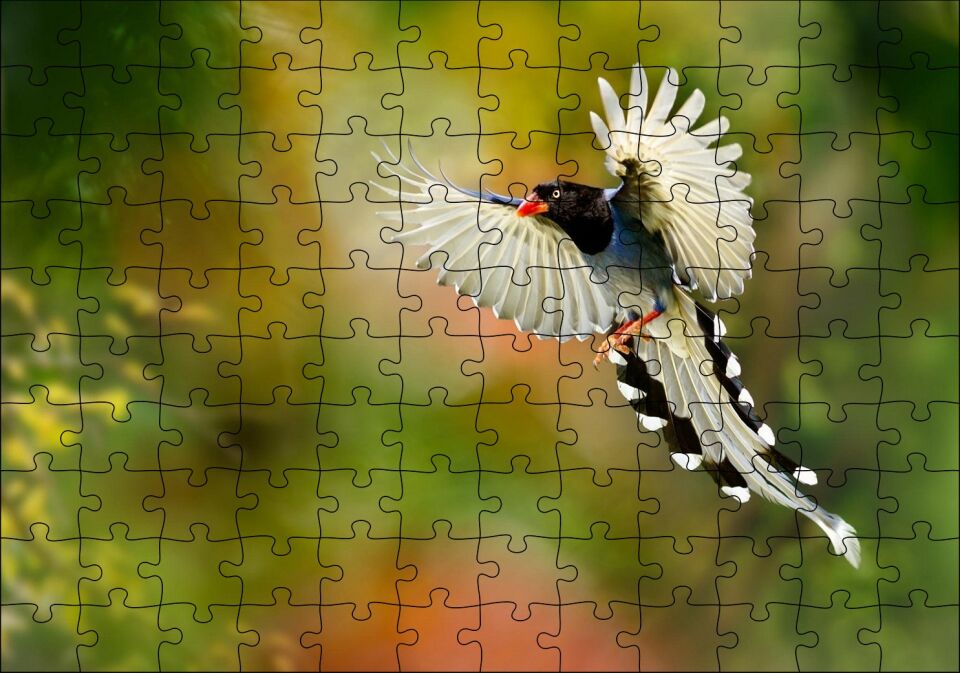 Uçan Cennet Kuşu Puzzle Yapboz MDF Ahşap 120 Parça 24 cm X 34 cm
