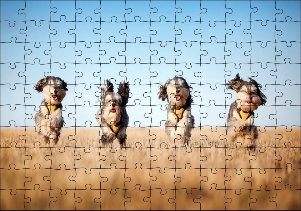 Kuru Otların Arasında Koşan 4 Sevimli Terrier Puzzle Yapboz MDF Ahşap