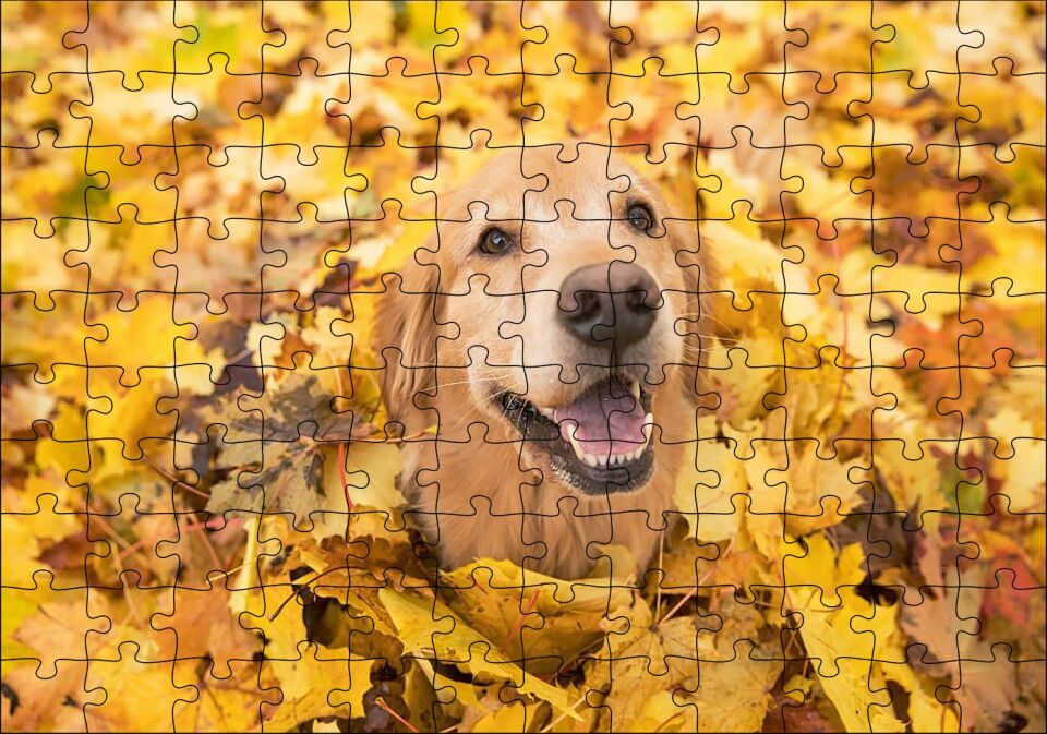 Sonbahar Yaprakları Üzerindeki Kahverengi Köpek Puzzle Yapboz MDF Ahşap 120 Parça 24 cm X 34 cm