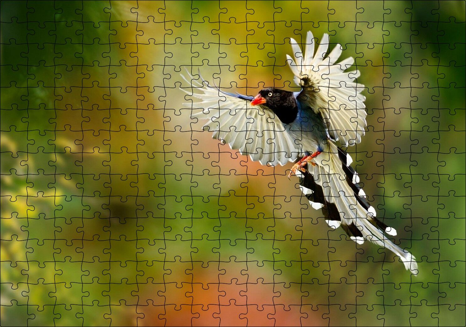 Uçan Cennet Kuşu Puzzle Yapboz MDF Ahşap 255 Parça 34 cm X 49 cm