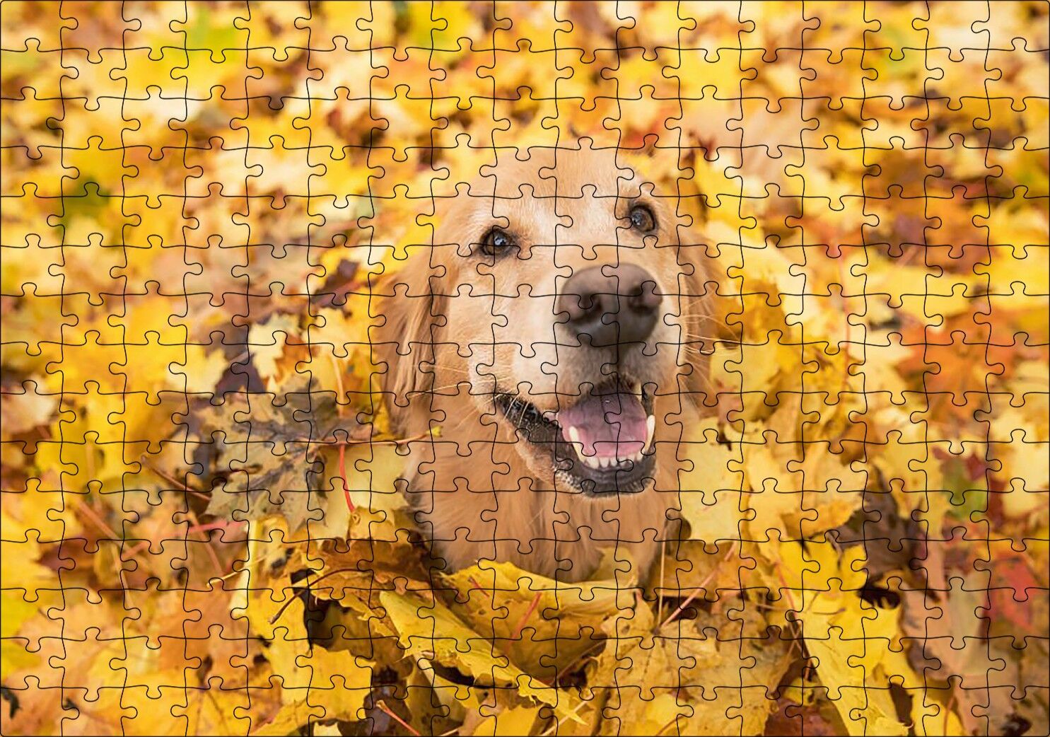 Sonbahar Yaprakları Üzerindeki Kahverengi Köpek Puzzle Yapboz MDF Ahşap 255 Parça 34 cm X 49 cm