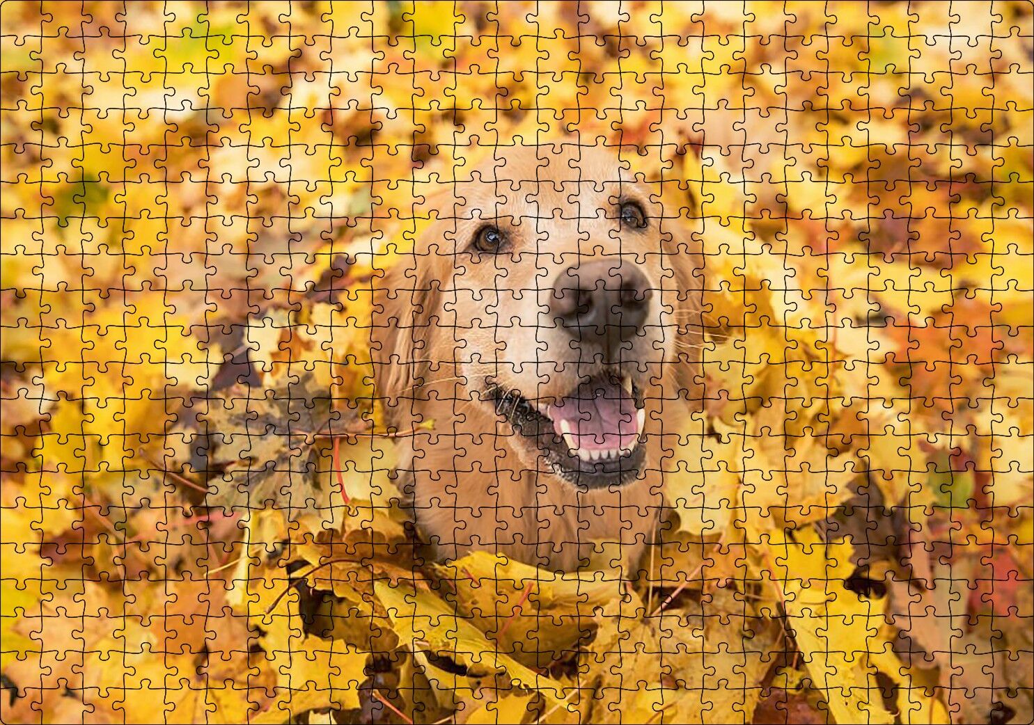 Sonbahar Yaprakları Üzerindeki Kahverengi Köpek Puzzle Yapboz MDF Ahşap 500 Parça 49 cm X 68 cm