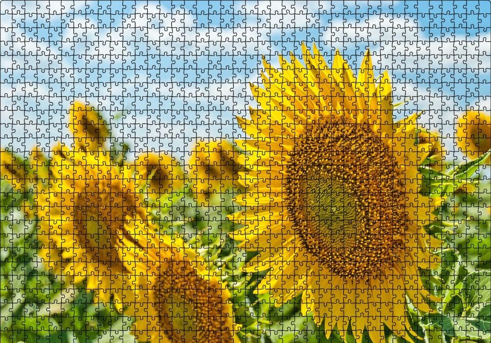 Günebakan Çiçekleri Puzzle Yapboz MDF Ahşap 1000 Parça 49 cm X 68 cm