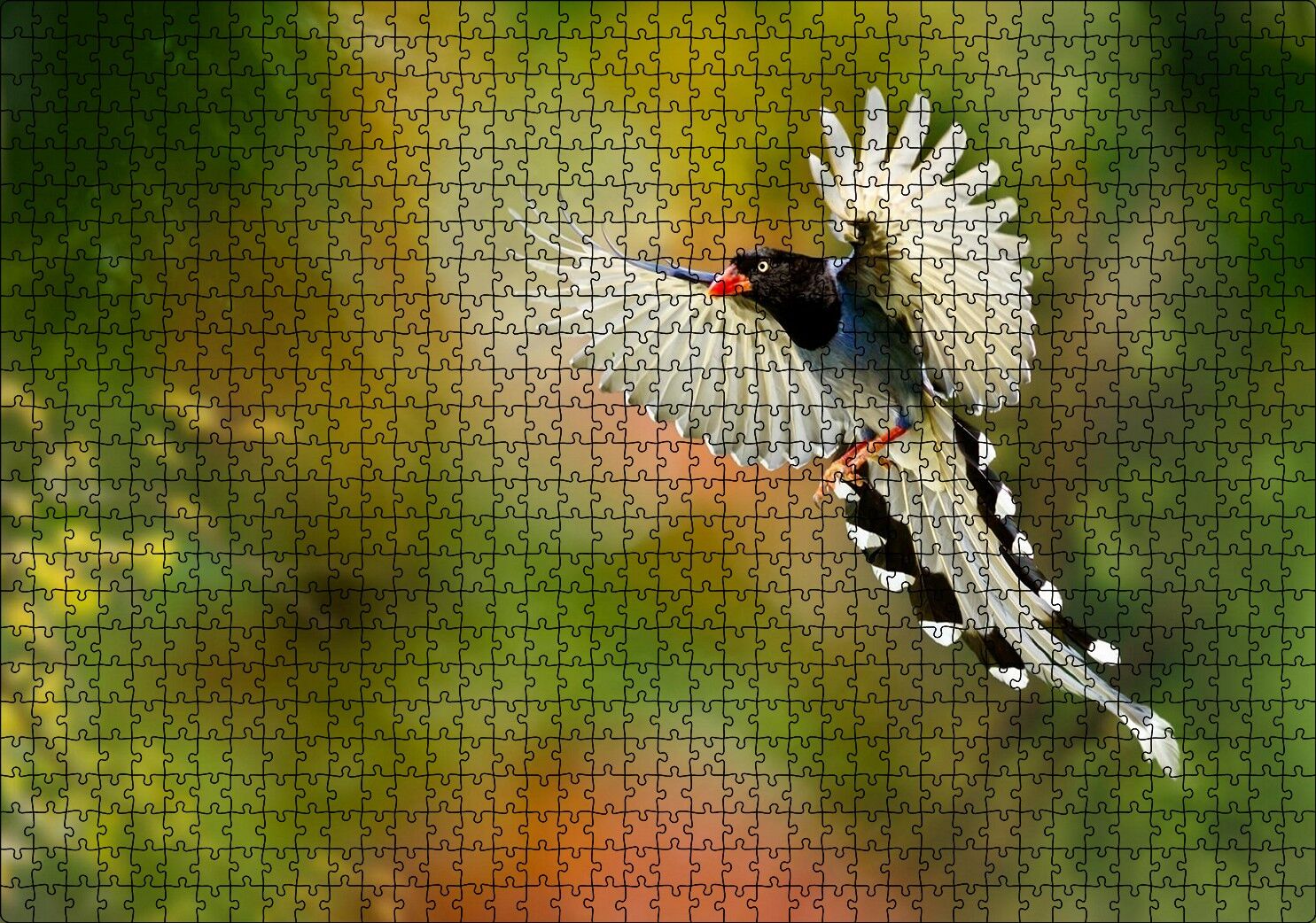 Uçan Cennet Kuşu Puzzle Yapboz MDF Ahşap 1000 Parça 49 cm X 68 cm
