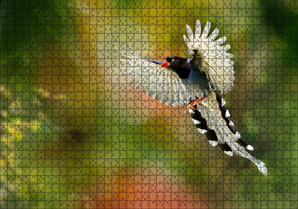 Uçan Cennet Kuşu Puzzle Yapboz MDF Ahşap 1000 Parça 49 cm X 68 cm