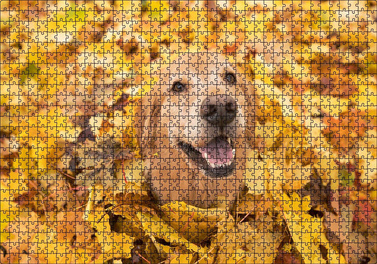 Sonbahar Yaprakları Üzerindeki Kahverengi Köpek Puzzle Yapboz MDF Ahşap 1000 Parça 49 cm X 68 cm
