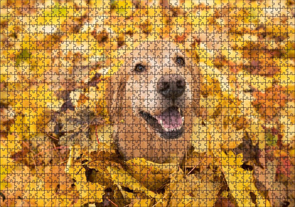 Sonbahar Yaprakları Üzerindeki Kahverengi Köpek Puzzle Yapboz MDF Ahşap 1000 Parça 49 cm X 68 cm