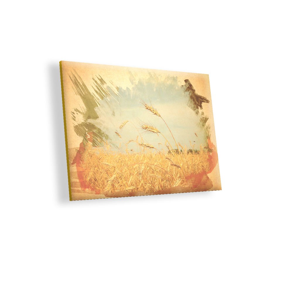 Buğday Başaklar MDF Akşap Duvar Tablo 50x70 cm