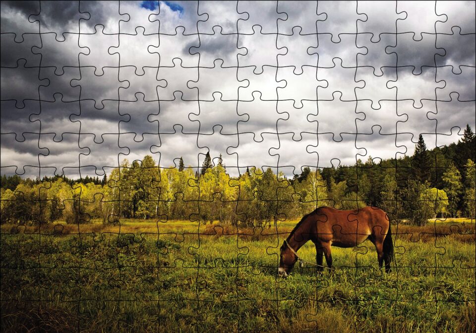 Manzara At Orman Puzzle Yapboz MDF Ahşap 120 Parça 24 cm X 34 cm