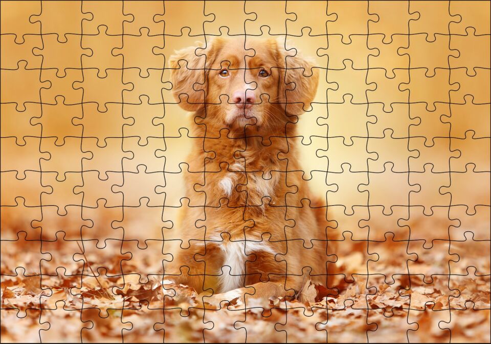 Sonbahar Yaprakları Üzerindeki Kahverengi Köpek Puzzle Yapboz MDF Ahşap 120 Parça 24 cm X 34 cm