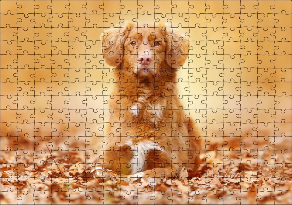 Sonbahar Yaprakları Üzerindeki Kahverengi Köpek Puzzle Yapboz MDF Ahşap 255 Parça 34 cm X 49 cm