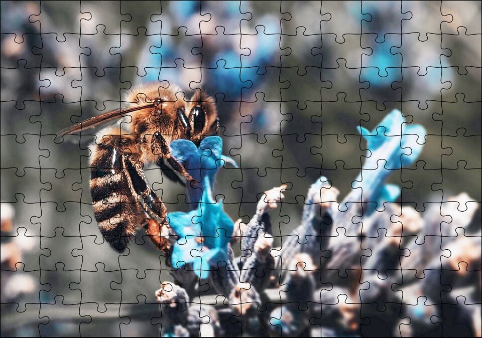 Mor Siyah Çiçekten Polen Toplayan Arı Puzzle Yapboz MDF Ahşap