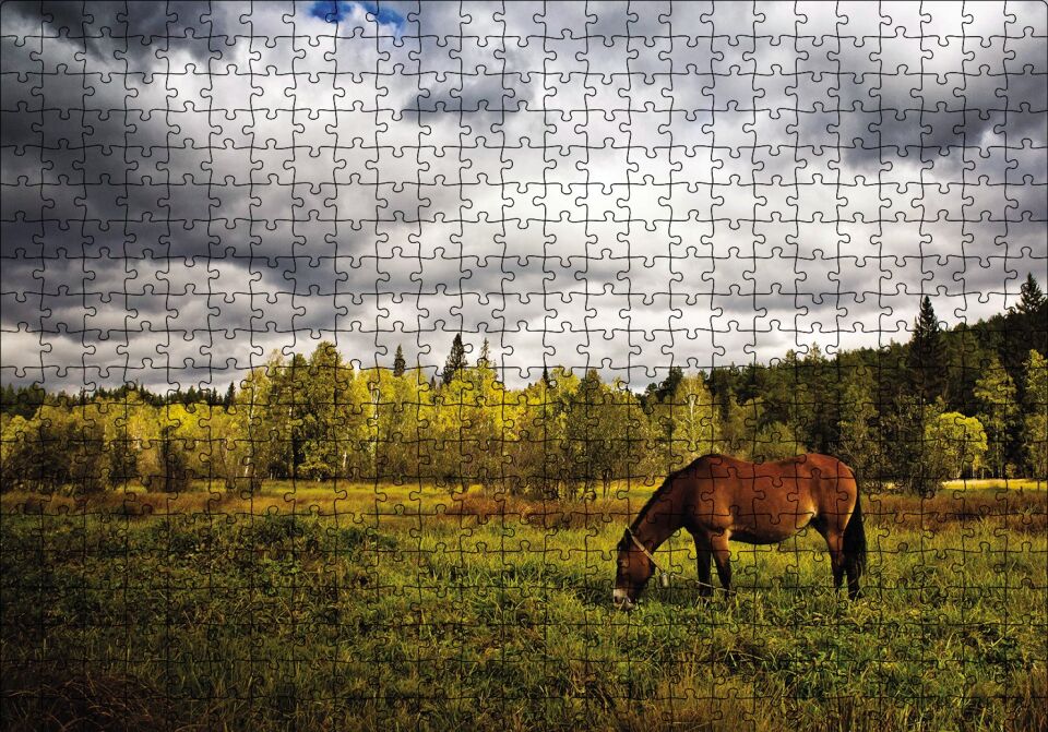 Manzara At Orman Puzzle Yapboz MDF Ahşap 500 Parça 49 cm X 68 cm
