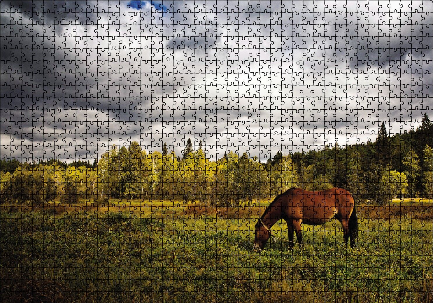 Manzara At Orman Puzzle Yapboz MDF Ahşap 1000 Parça 49 cm X 68 cm