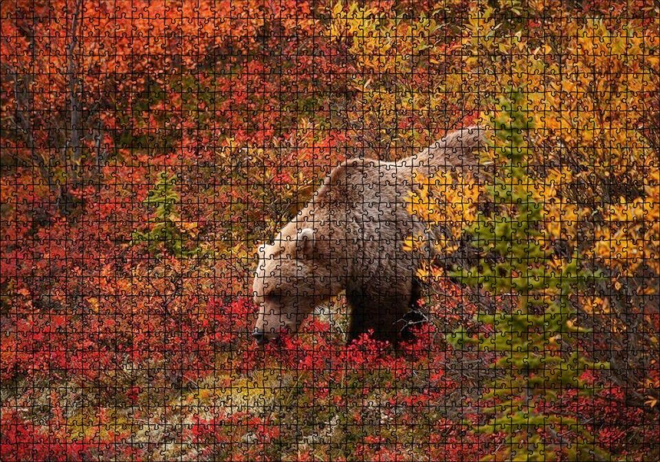 Sonbahar Renkli Ormandaki Boz Ayı Puzzle Yapboz MDF Ahşap 1000 Parça 49 cm X 68 cm