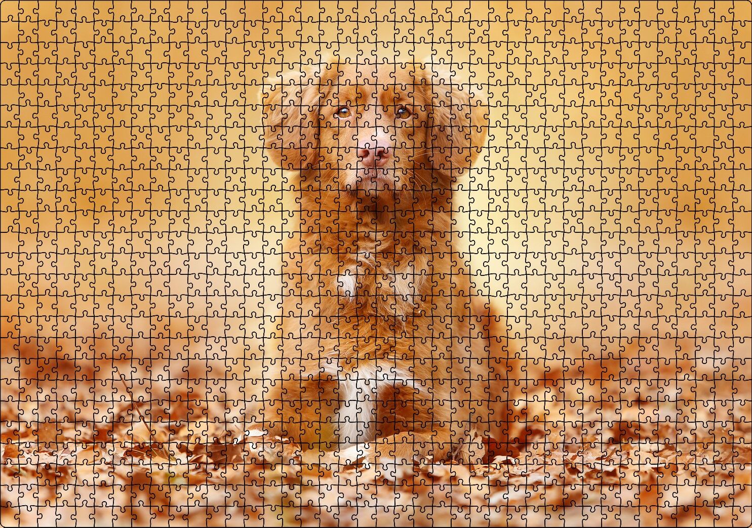 Sonbahar Yaprakları Üzerindeki Kahverengi Köpek Puzzle Yapboz MDF Ahşap 1000 Parça 49 cm X 68 cm
