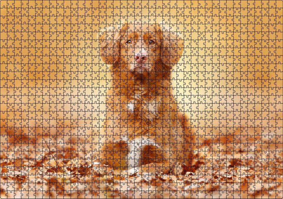 Sonbahar Yaprakları Üzerindeki Kahverengi Köpek Puzzle Yapboz MDF Ahşap 1000 Parça 49 cm X 68 cm