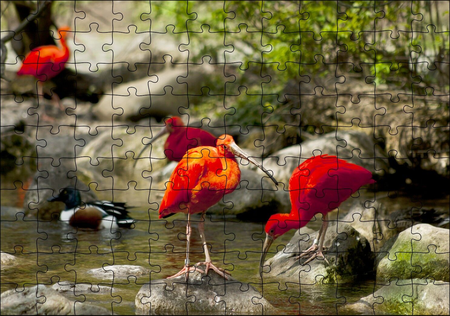 Nehir Kenarında Taşlar Kızıl Balıkçıllar ve Ördekler Puzzle Yapboz MDF Ahşap