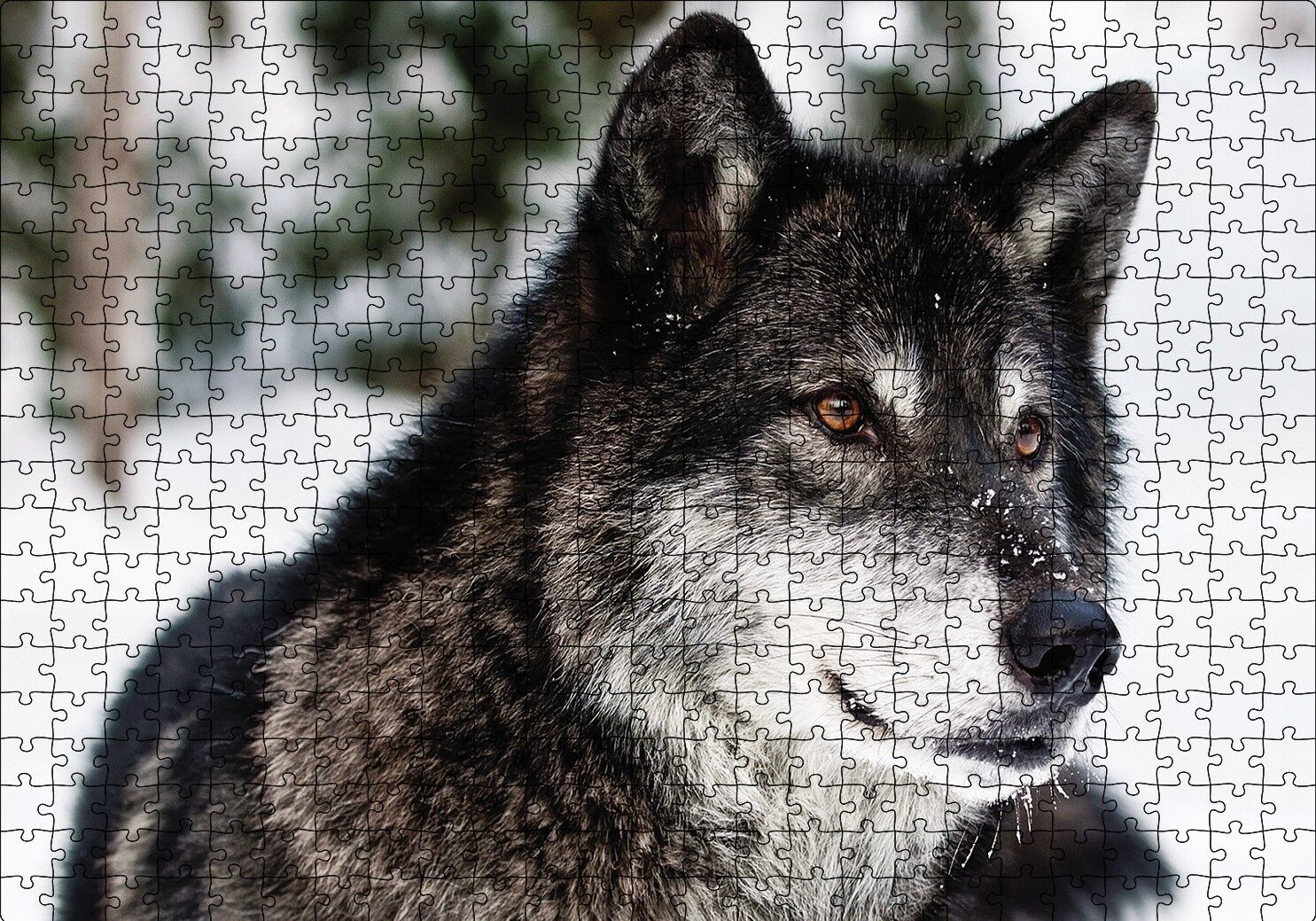 Karda Bozkurt Puzzle Yapboz MDF Ahşap 500 Parça 49 cm X 68 cm