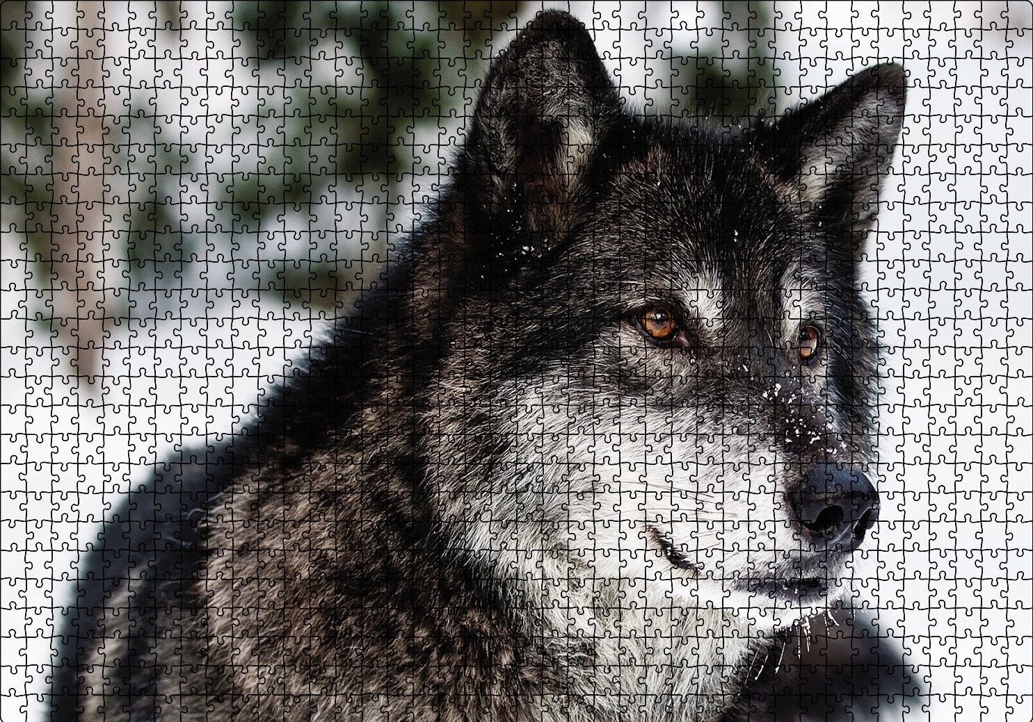 Karda Bozkurt Puzzle Yapboz MDF Ahşap 1000 Parça 49 cm X 68 cm