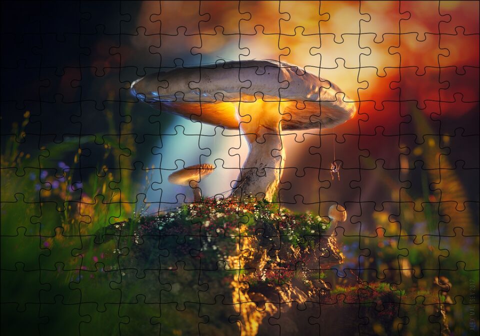 Mantar ve Örümcek Makro Puzzle Yapboz MDF Ahşap 120 Parça 24 cm X 34 cm