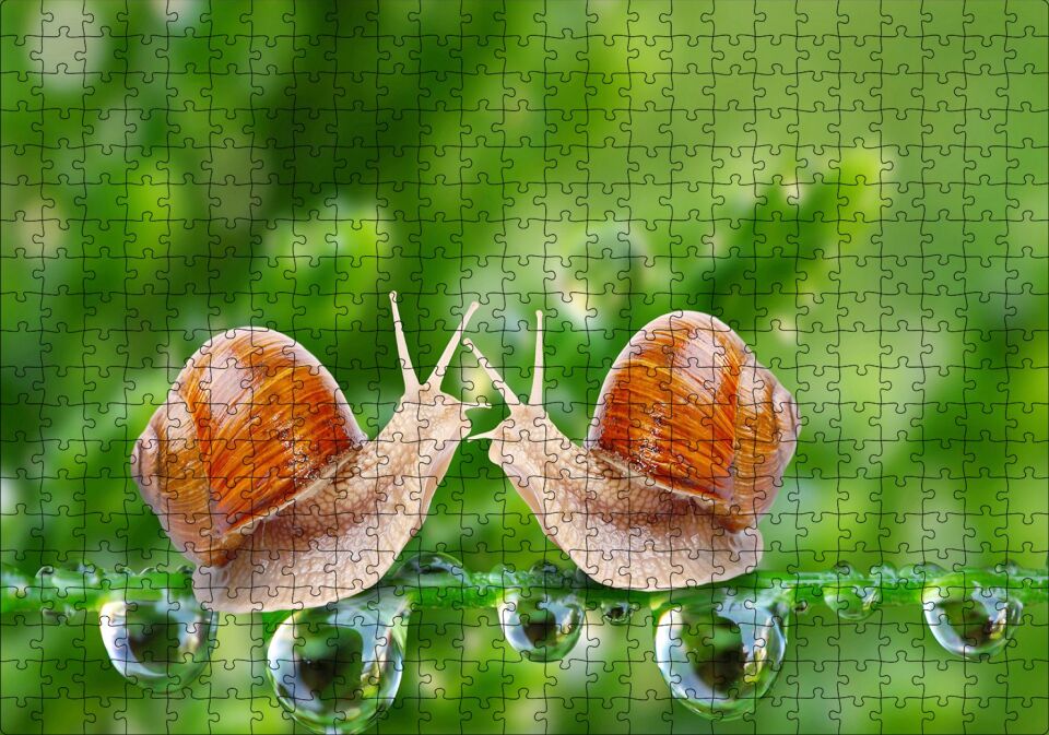 Salyangozlar Karşılaşması Yeşil Damlacıkları Görseli Puzzle Yapboz MDF Ahşap 500 Parça 49 cm X 68 cm