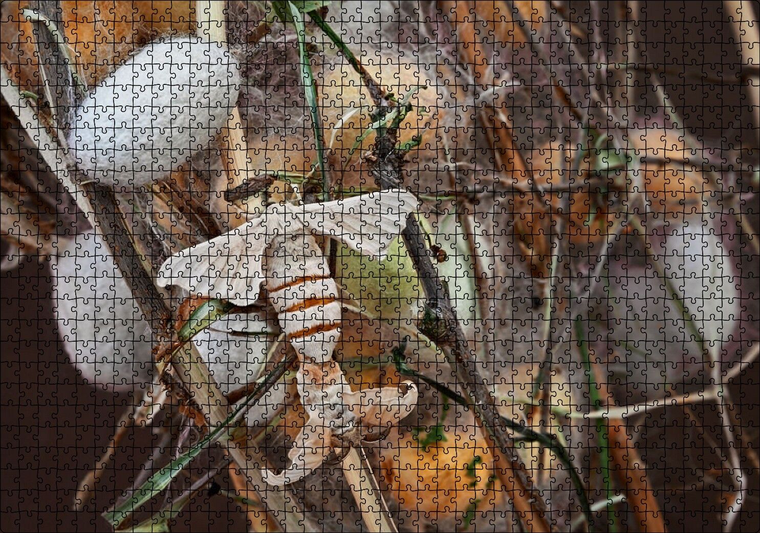 İpek Böceği Ve Kozası Görseli Puzzle Yapboz MDF Ahşap 1000 Parça 49 cm X 68 cm