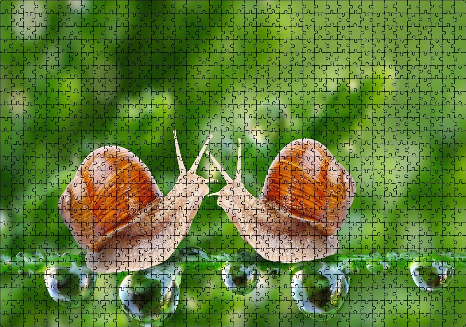 Salyangozlar Karşılaşması Yeşil Damlacıkları Görseli Puzzle Yapboz MDF Ahşap 1000 Parça 49 cm X 68 cm