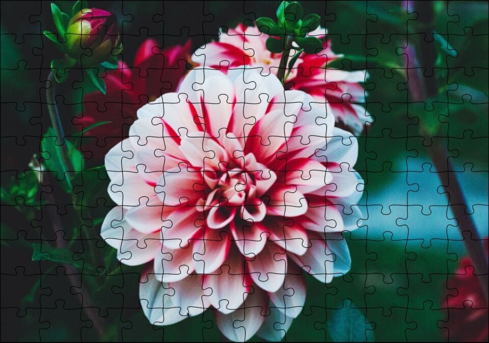 Pembe Beyaz Yıldız Çiçeği Puzzle Yapboz MDF Ahşap