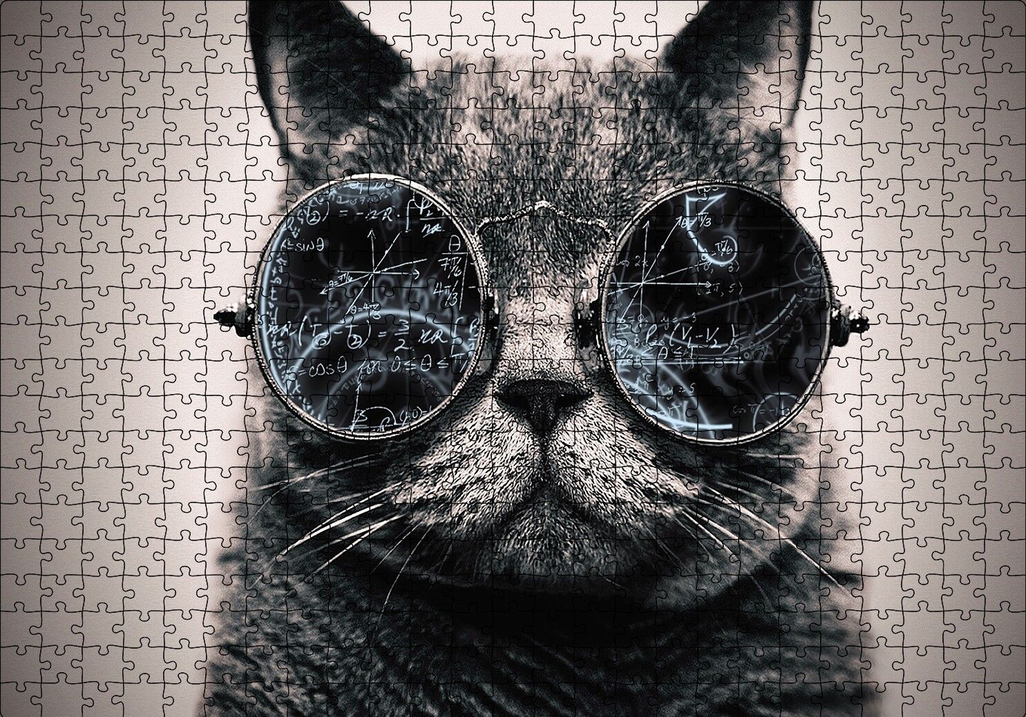 Matematik İşlemli Gözlüklü Kedi Puzzle Yapboz MDF Ahşap 500 Parça 49 cm X 68 cm