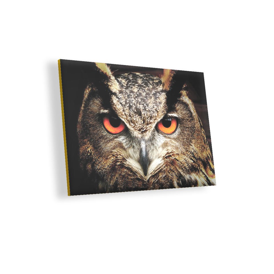 Baykuşun Gözleri MDF Akşap Duvar Tablo 25x35 cm