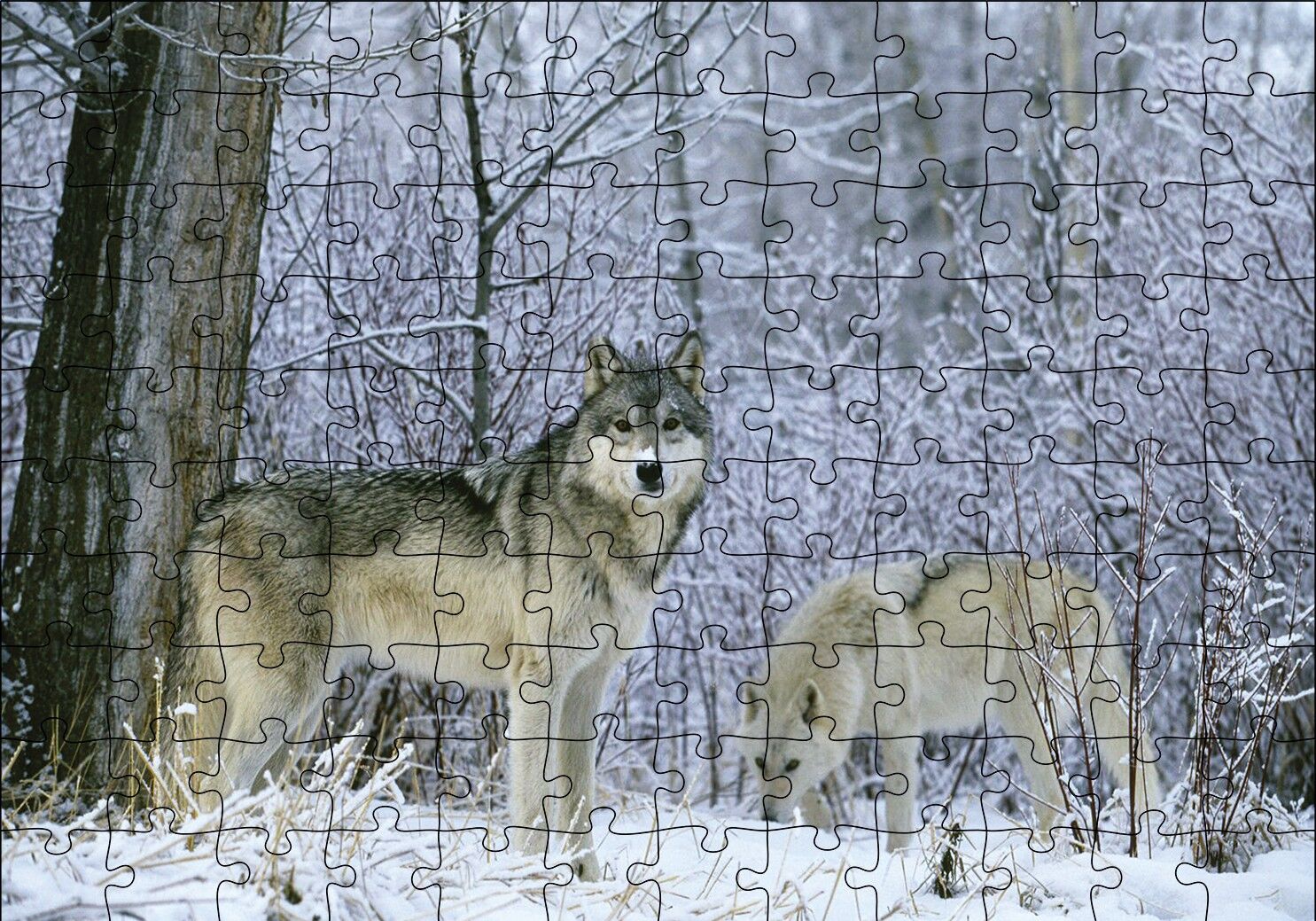 Kış Ormandaki Kurtlar Görseli Puzzle Yapboz MDF Ahşap 120 Parça 24 cm X 34 cm