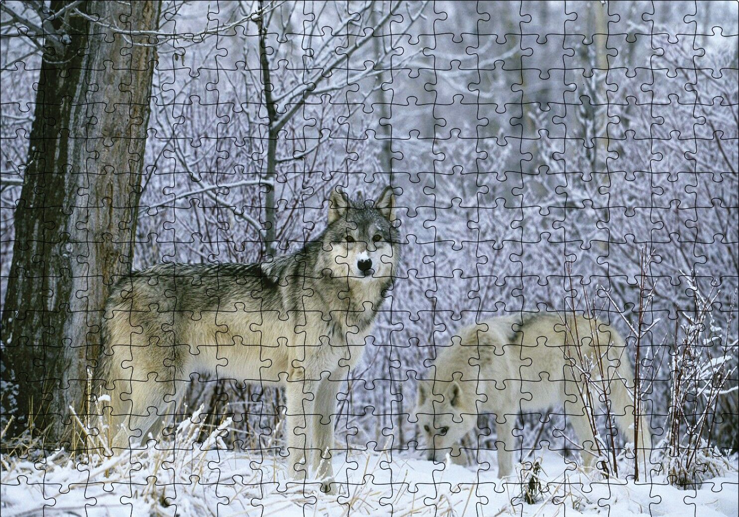 Kış Ormandaki Kurtlar Görseli Puzzle Yapboz MDF Ahşap 255 Parça 34 cm X 49 cm