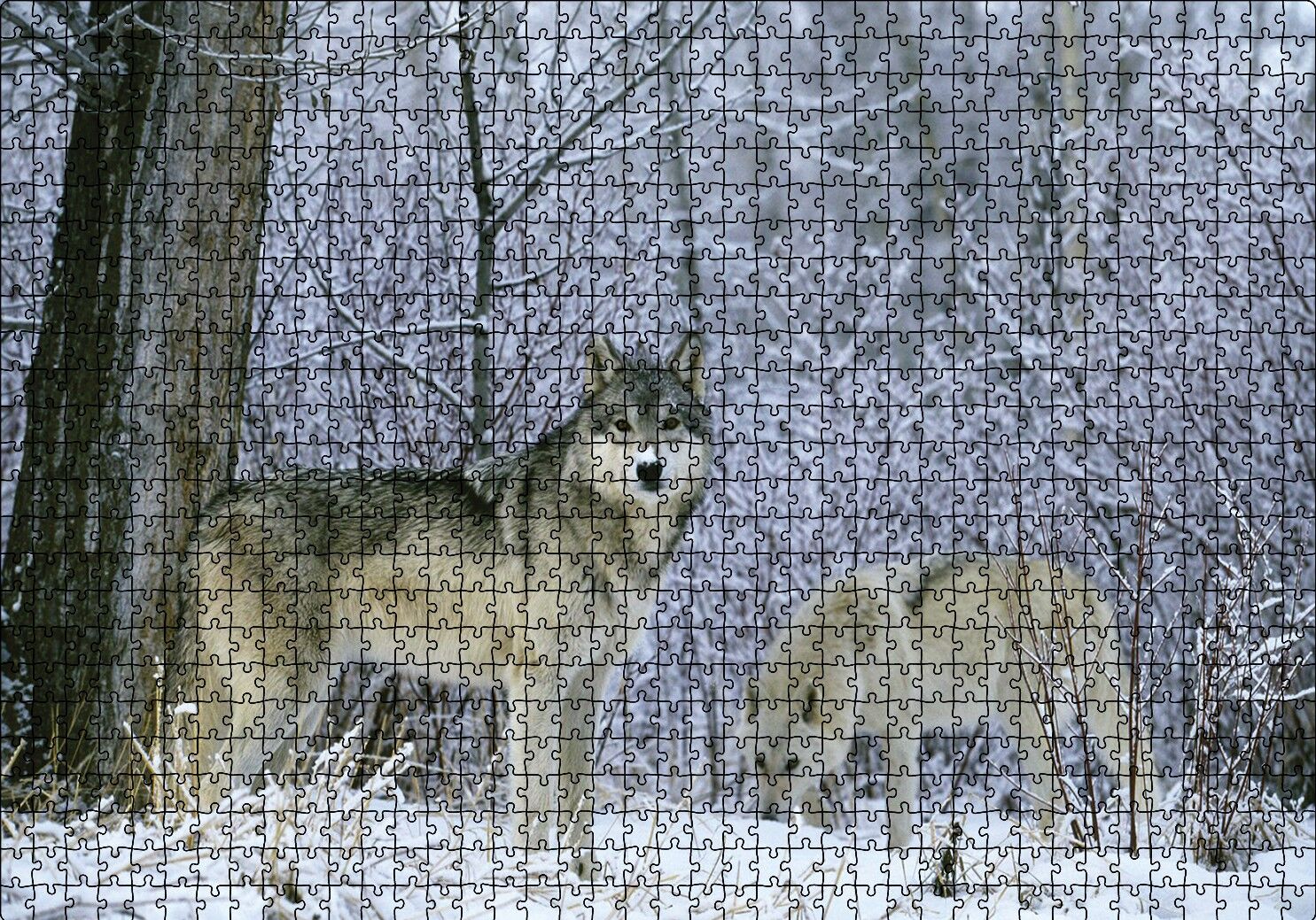 Kış Ormandaki Kurtlar Görseli Puzzle Yapboz MDF Ahşap 1000 Parça 49 cm X 68 cm
