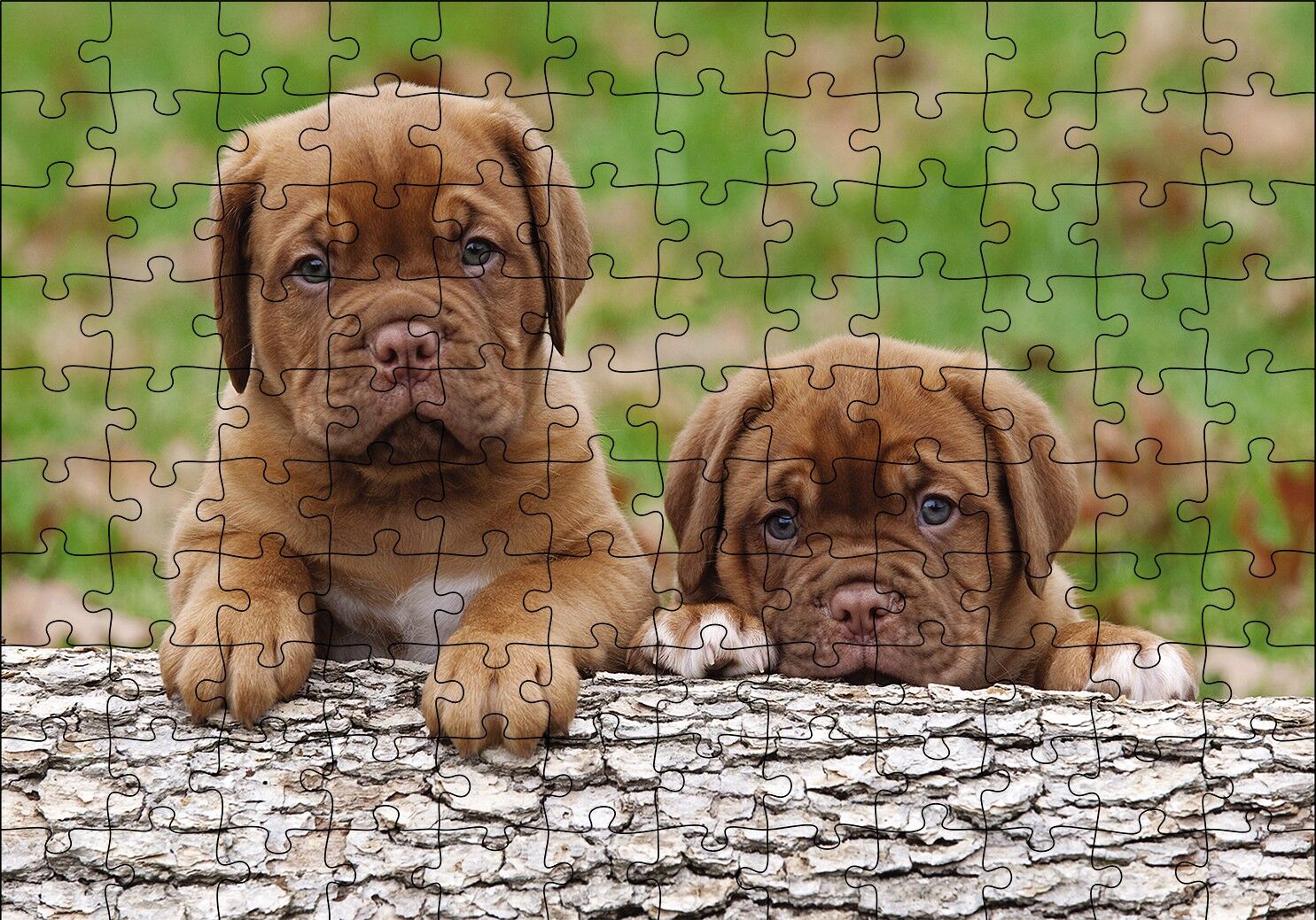 Meksika Yavru Köpekler Görseli Puzzle Yapboz MDF Ahşap 120 Parça 24 cm X 34 cm