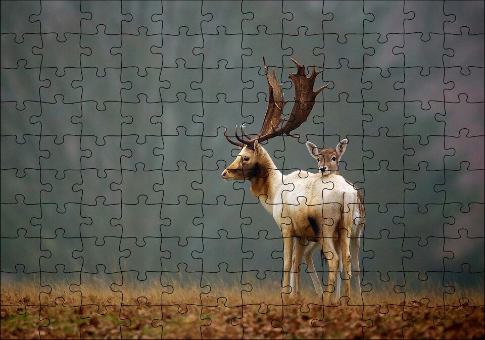 Ormanda Geyik Ve Yavrusu Puzzle Yapboz MDF Ahşap