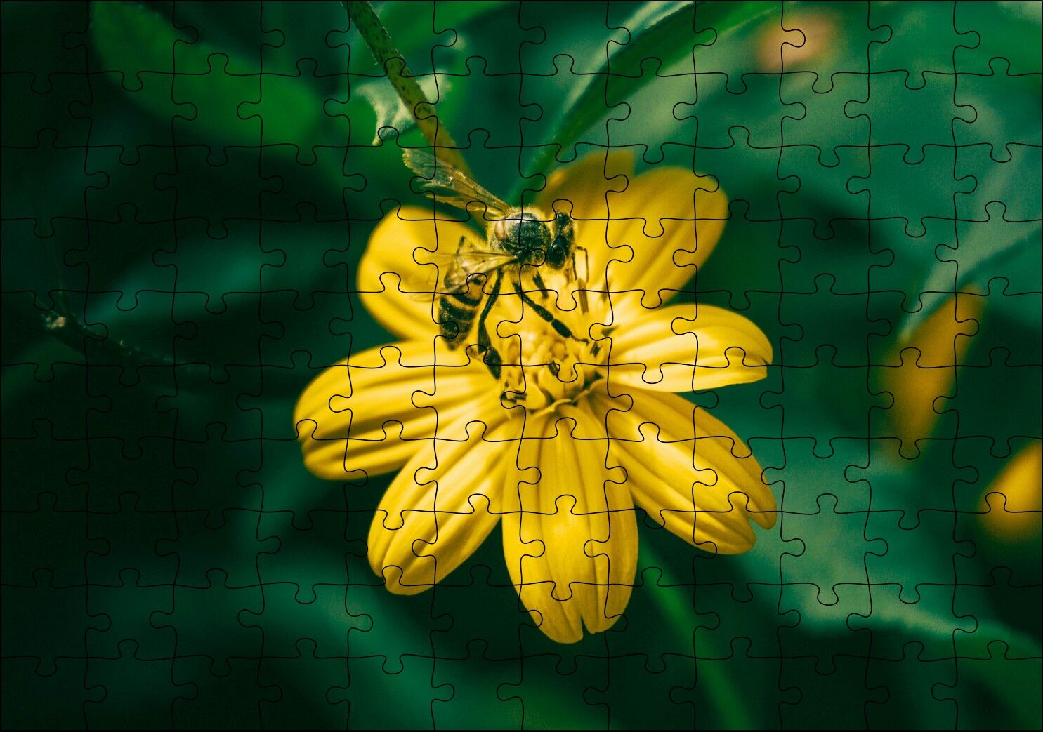 Sarı Çiçekten Polen Toplayan Arı Puzzle Yapboz MDF Ahşap