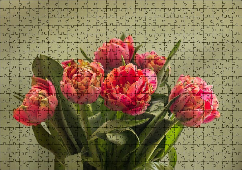Kırmızı Laleler ve Yeşil Yaprakları Puzzle Yapboz MDF Ahşap 500 Parça 49 cm X 68 cm