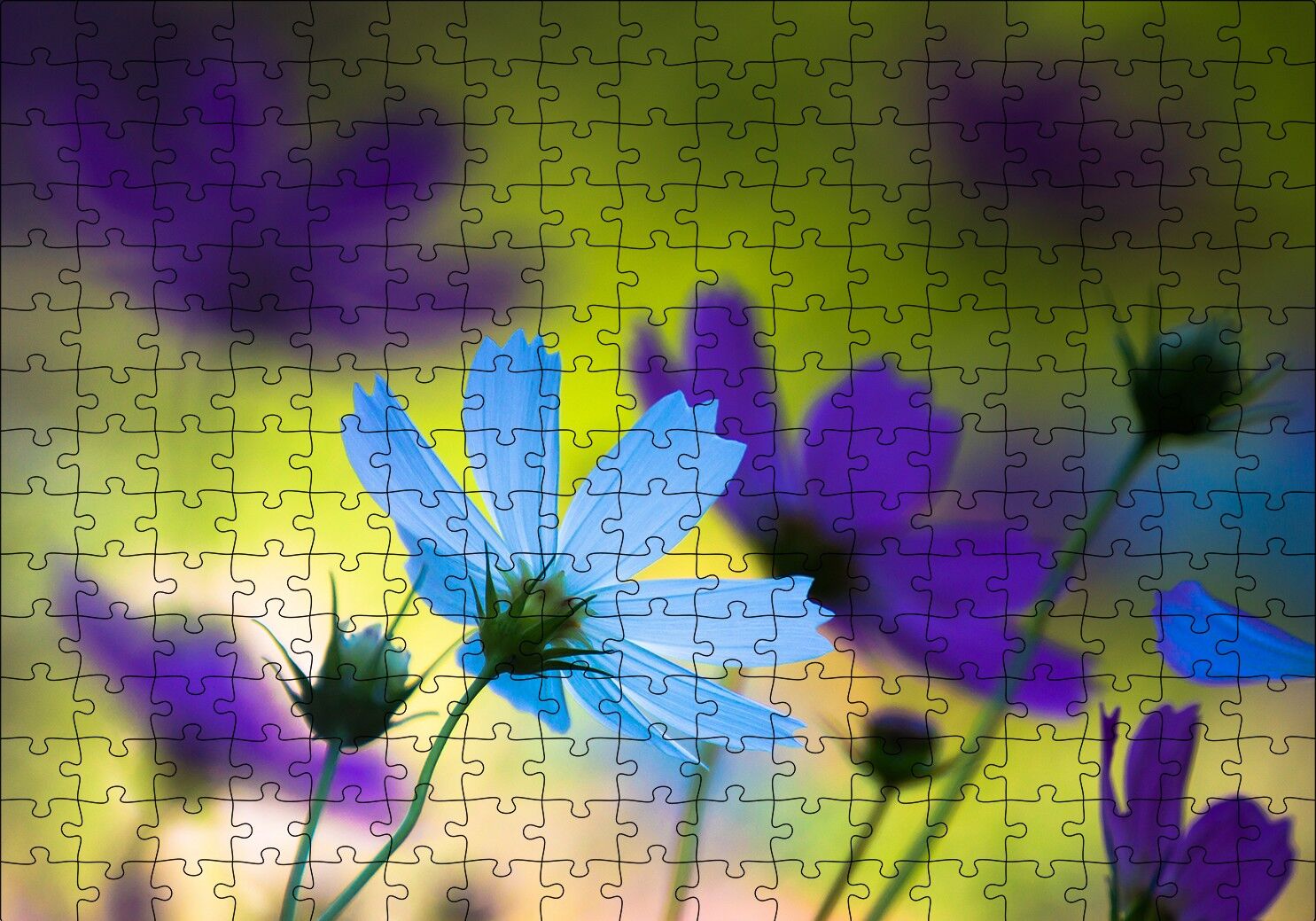 Mavi ve Mor Çiçekler Puzzle Yapboz MDF Ahşap 255 Parça 34 cm X 49 cm