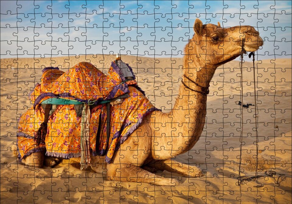 Çöl Kumlarına Çökmüş Deve Puzzle Yapboz MDF Ahşap 255 Parça 34 cm X 49 cm