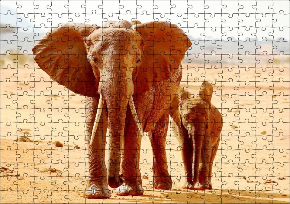 Afrika Savanada Anne Fil ve Yavrusu Puzzle Yapboz MDF Ahşap 255 Parça 34 cm X 49 cm