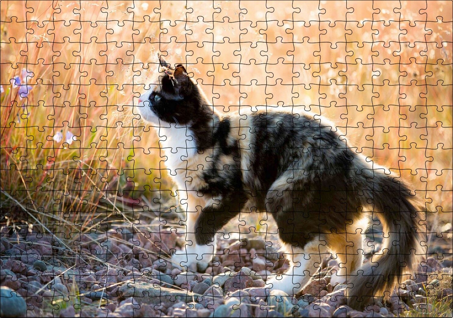 Taşların Üzerinde 3 Renk Kedi ve Sarı Otlar Puzzle Yapboz MDF Ahşap 255 Parça 34 cm X 49 cm