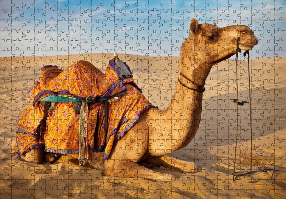 Çöl Kumlarına Çökmüş Deve Puzzle Yapboz MDF Ahşap 500 Parça 49 cm X 68 cm